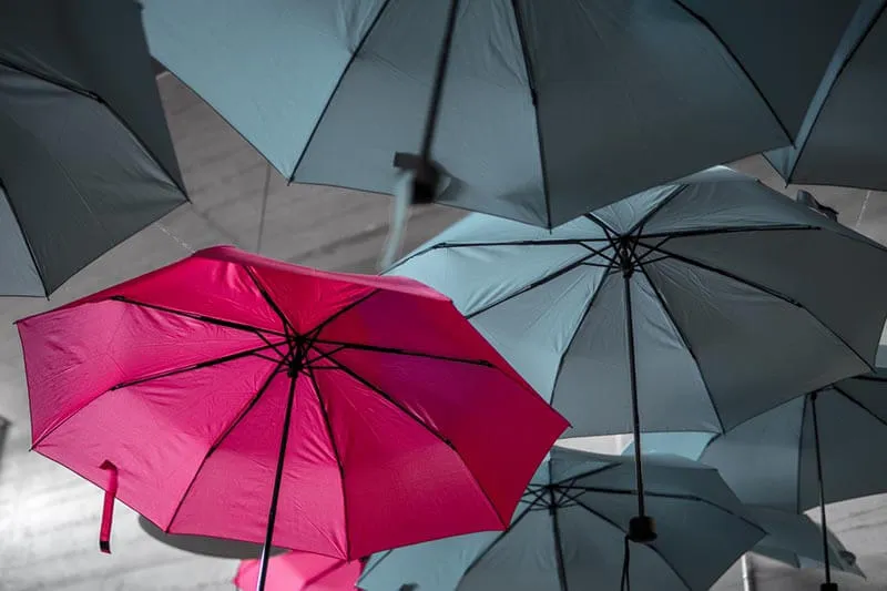 Pink umbrella